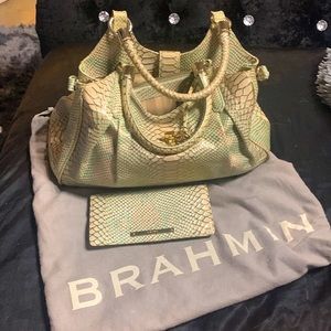 Brahmin Purse